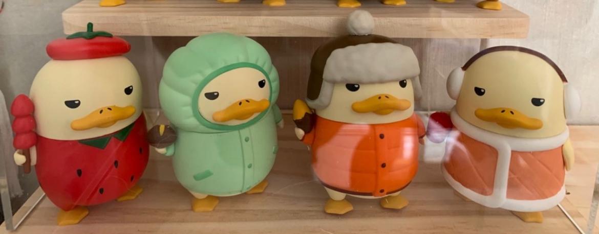 Duckoo In The Winter Land Series