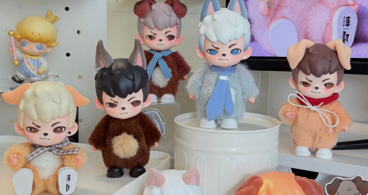 Boy Rayan No Puppies No World Blind Box Series