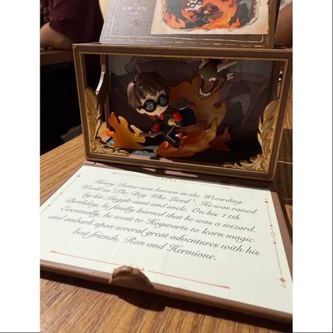 Harry Potter Hogwarts Biographical Series Scene Sets Secret Harry Potter (1/120)