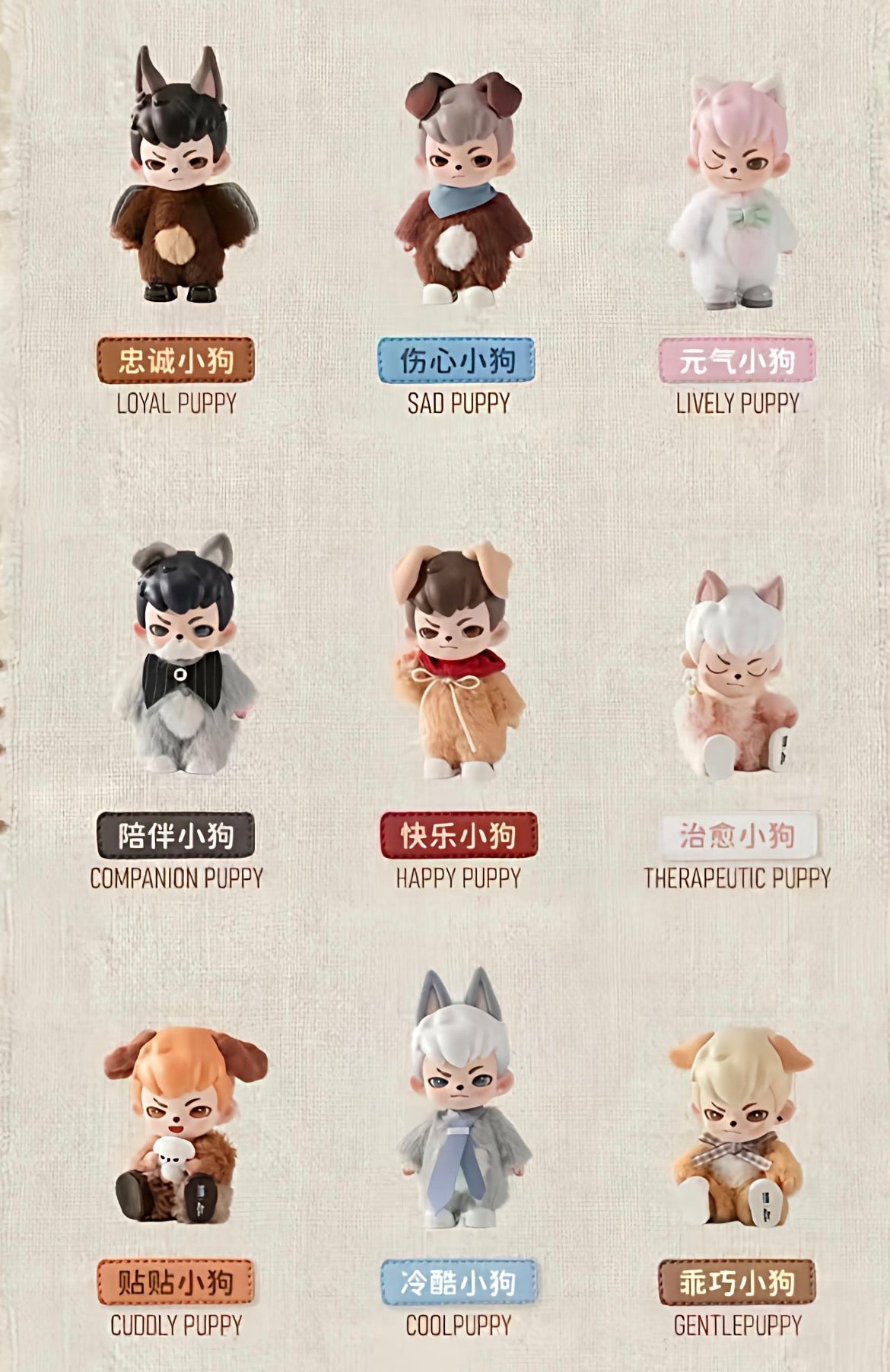 Boy Rayan No Puppies No World Blind Box Series – TOYSEZ
