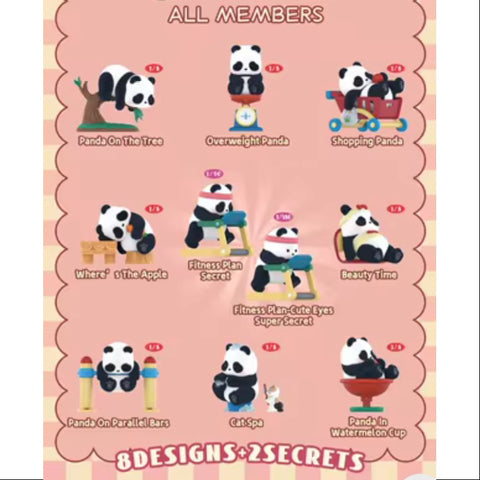 Panda Roll Playful Journal Series Whole Set Brand New With Plastic