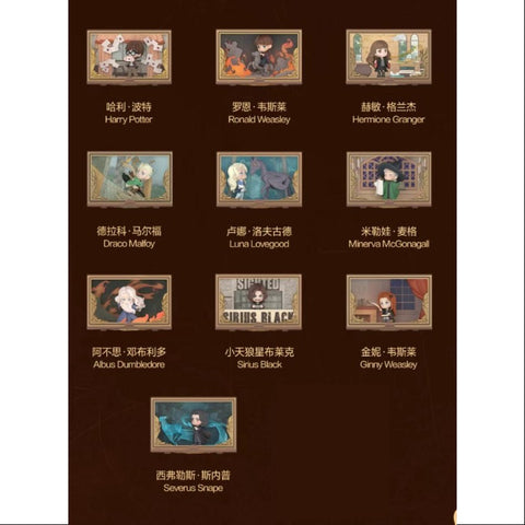 Harry Potter Hogwarts Biographical Series Scene Sets Whole Set Opened