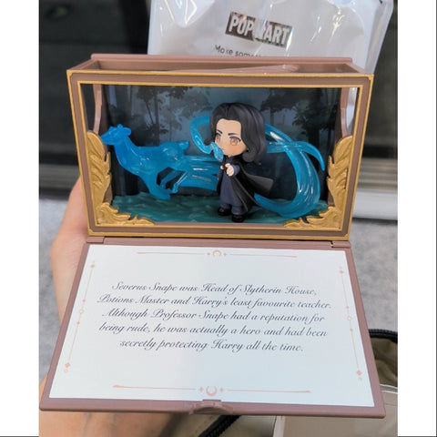 Harry Potter Hogwarts Biographical Series Scene Sets Whole Set Opened