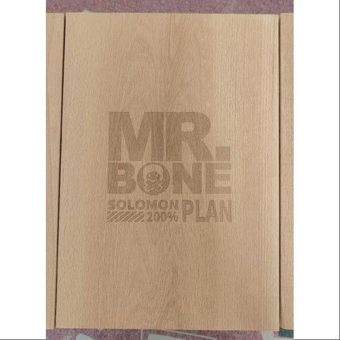 MR.BONE SOLOMON PLAN 1.0 ver. GRAY BEEL 200% LIMITED