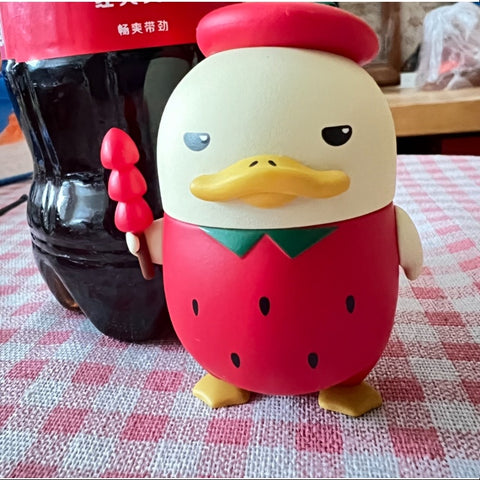 Duckoo In The Winter Land Series Whole Set Opened