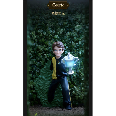 Harry Potter And The Goblet Of Fire Series Whole Set Opened