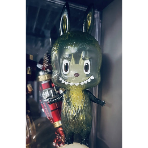 Labubu The Monsters Inside 2021 Limited Edition