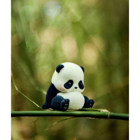 Panda Roll Daily Life Blind Box Series: Big Belly (Confirmed Style)