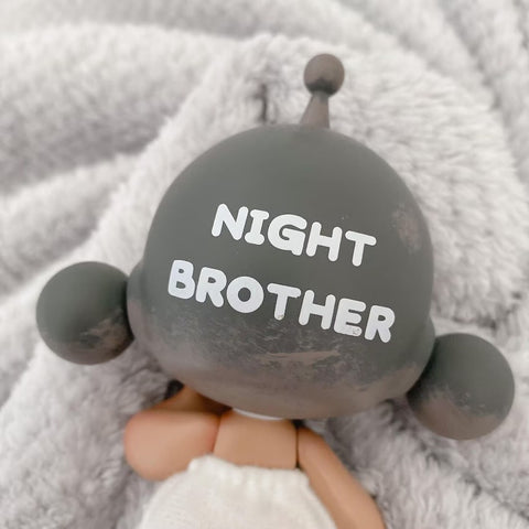 Skullpanda Baby Night Brother Limited Figurine(a pair)Sp and Joee