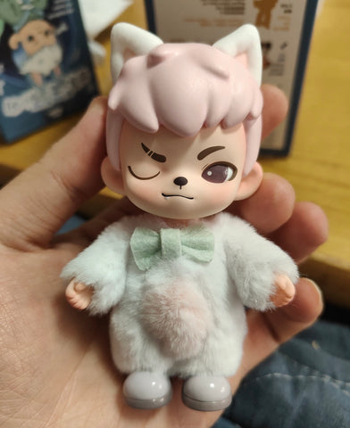 Boy Rayan No Puppies No World Blind Box Series: Whole Set (Opened Box)