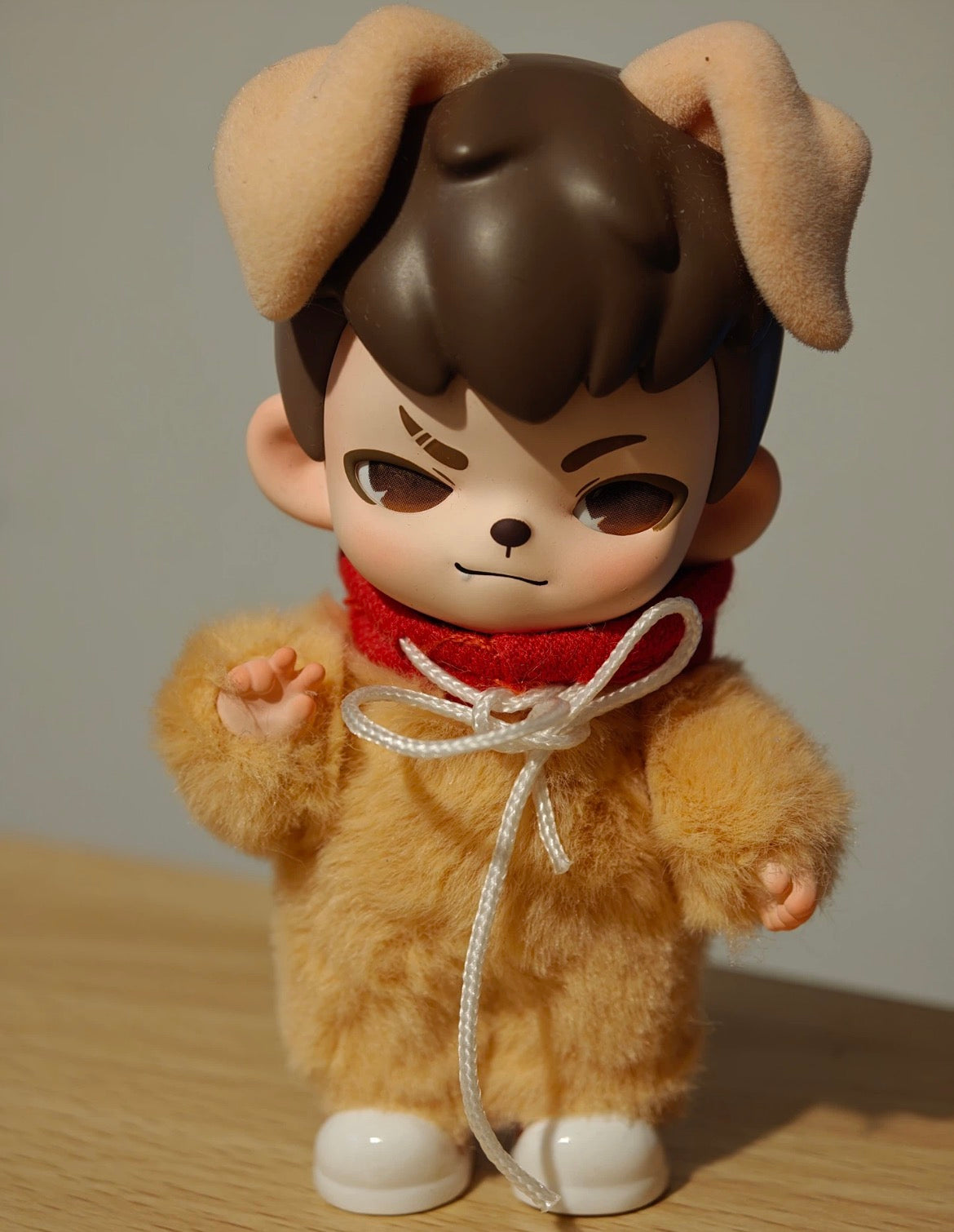 Boy Rayan No Puppies No World Blind Box Series: HAPPY PUPPY (Confirmed Style)