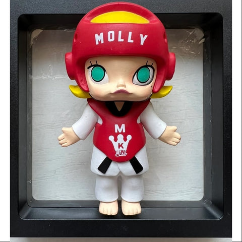 MOLLY Sports Series Whole Set Opened