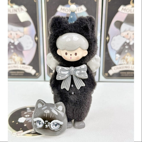 Molinta Chasing Light Series Black cat