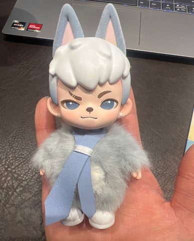 Boy Rayan No Puppies No World Blind Box Series: Whole Set (Opened Box)