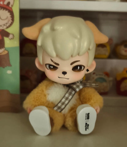 Boy Rayan No Puppies No World Blind Box Series: Whole Set (Opened Box)