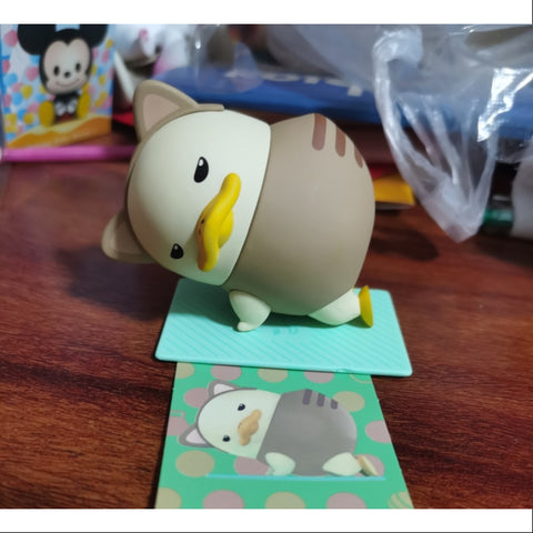 Duckoo Home Training Series Secret Cat (1/96)