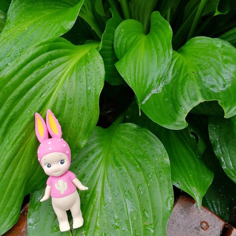 Sonny Angel Cactus Series Secret Rabbit